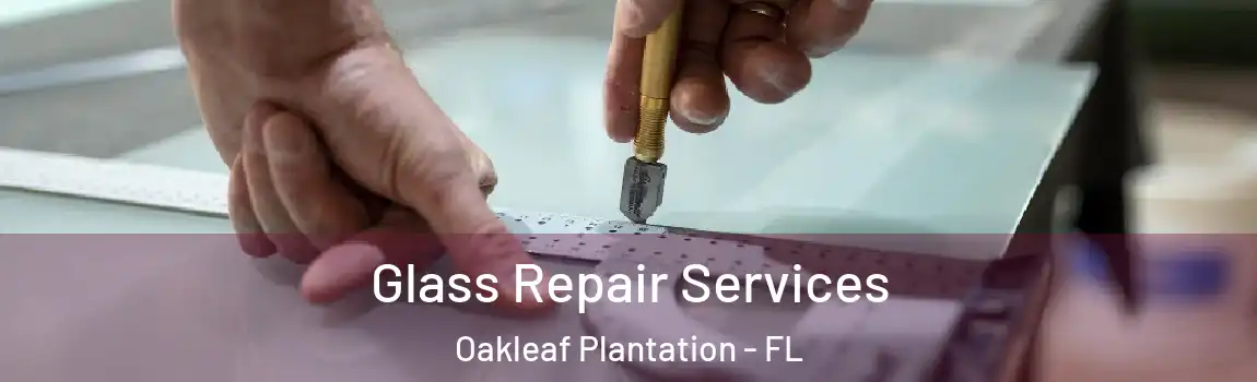  Glass Repair Services Oakleaf Plantation - FL